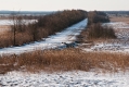 012_Biebrza - marzec 2013